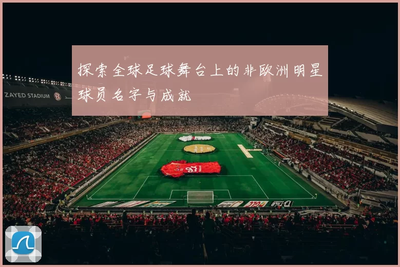 探索全球足球舞台上的非欧洲明星球员名字与成就