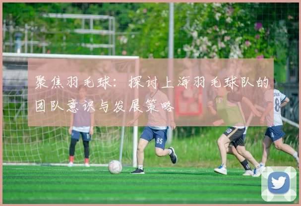 聚焦羽毛球：探讨上海羽毛球队的团队意识与发展策略