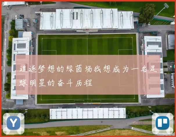 追逐梦想的绿茵场我想成为一名足球明星的奋斗历程