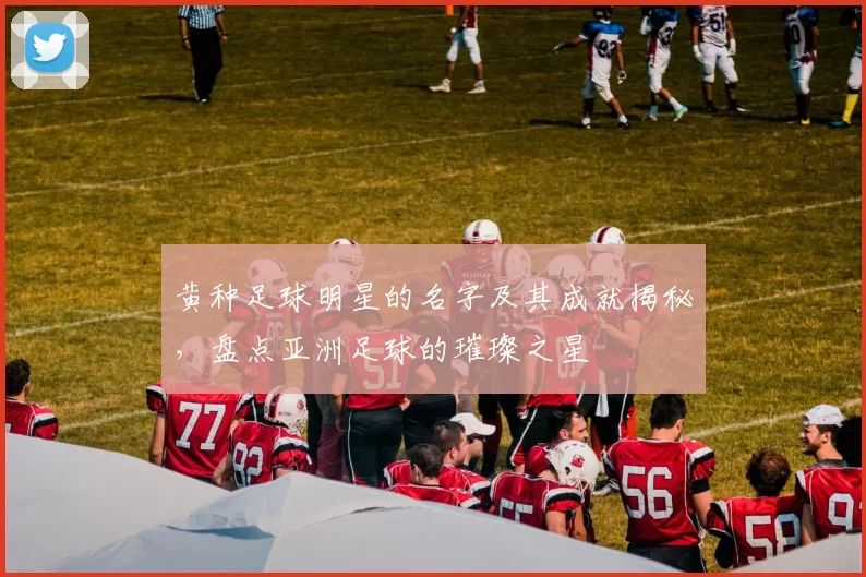 黄种足球明星的名字及其成就揭秘，盘点亚洲足球的璀璨之星
