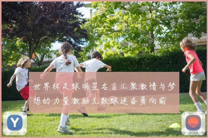 世界杯足球明星名言汇聚激情与梦想的力量激励无数球迷奋勇向前