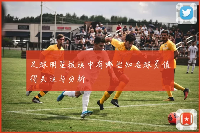 足球明星板块中有哪些知名球员值得关注与分析