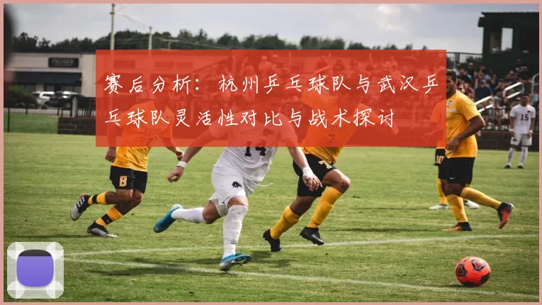 赛后分析：杭州乒乓球队与武汉乒乓球队灵活性对比与战术探讨