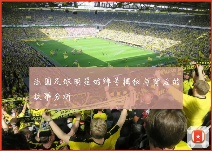 法国足球明星的绰号揭秘与背后的故事分析