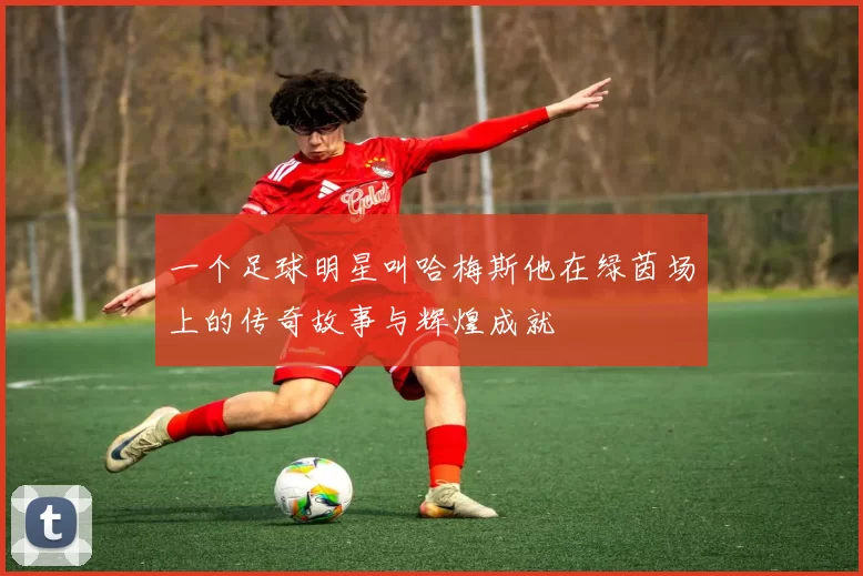一个足球明星叫哈梅斯他在绿茵场上的传奇故事与辉煌成就