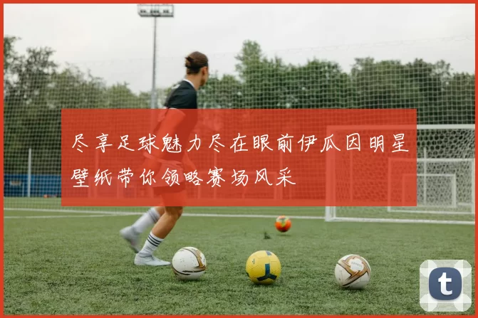 尽享足球魅力尽在眼前伊瓜因明星壁纸带你领略赛场风采