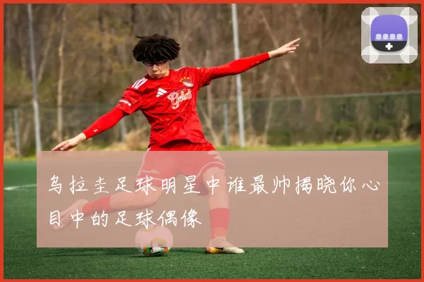 乌拉圭足球明星中谁最帅揭晓你心目中的足球偶像