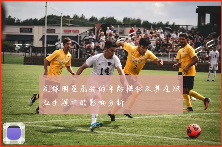 足球明星属狗的年龄揭秘及其在职业生涯中的影响分析