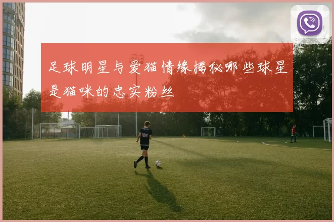 足球明星与爱猫情缘揭秘哪些球星是猫咪的忠实粉丝