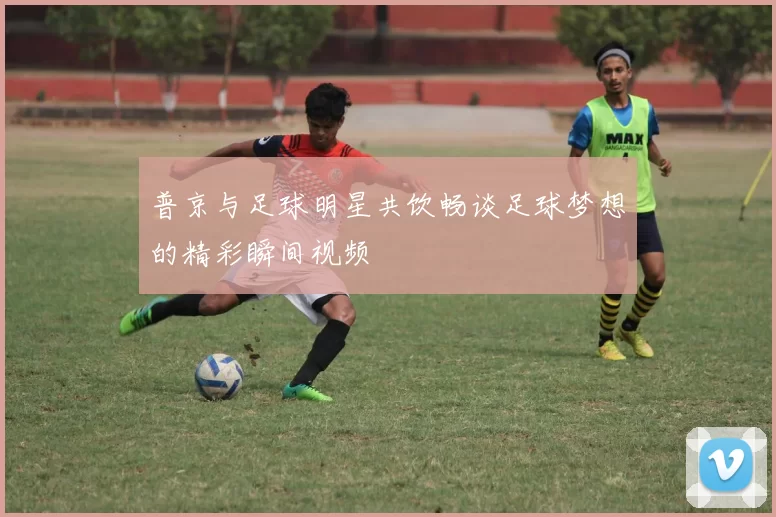 普京与足球明星共饮畅谈足球梦想的精彩瞬间视频