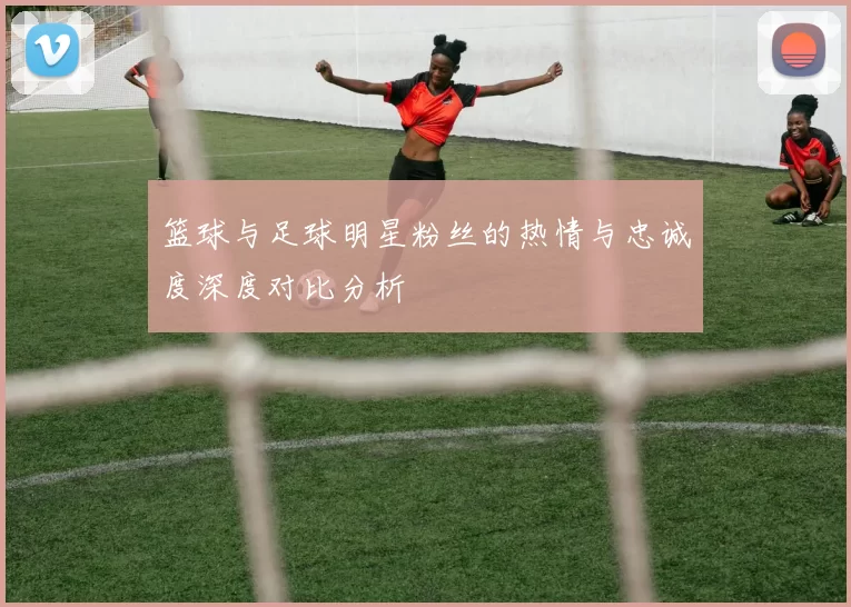 篮球与足球明星粉丝的热情与忠诚度深度对比分析