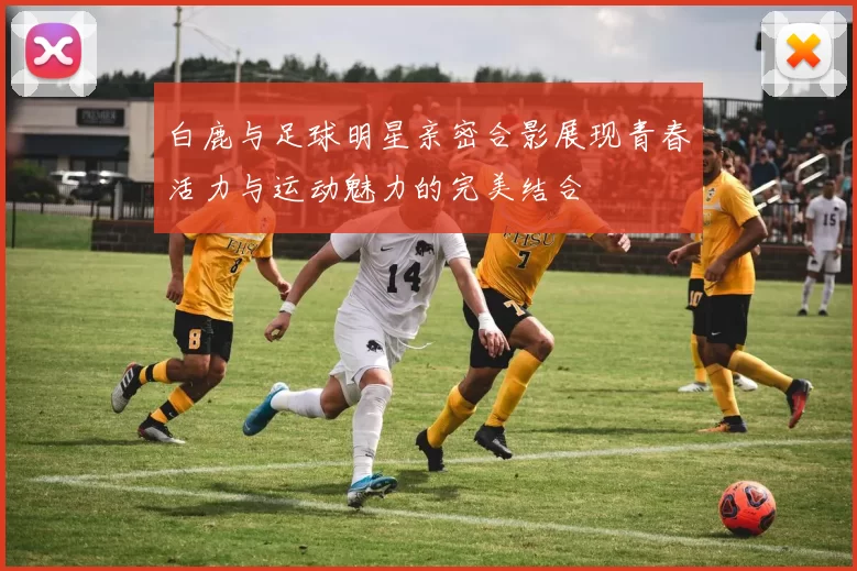 白鹿与足球明星亲密合影展现青春活力与运动魅力的完美结合