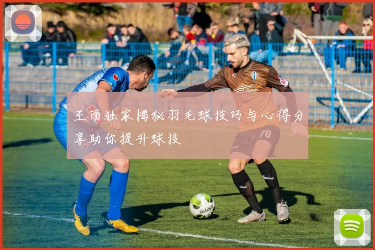 王丽独家揭秘羽毛球技巧与心得分享助你提升球技