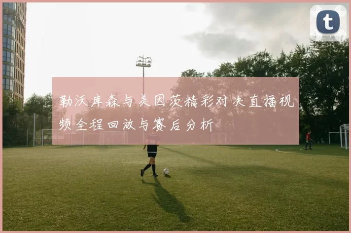 勒沃库森与美因茨精彩对决直播视频全程回放与赛后分析