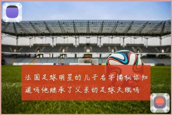 法国足球明星的儿子名字揭秘你知道吗他继承了父亲的足球天赋吗
