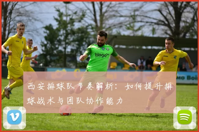 西安排球队节奏解析：如何提升排球战术与团队协作能力