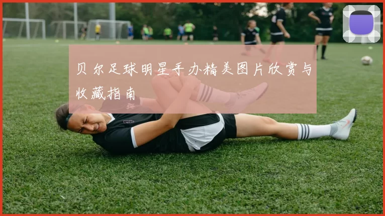 贝尔足球明星手办精美图片欣赏与收藏指南