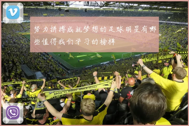努力拼搏成就梦想的足球明星有哪些值得我们学习的榜样