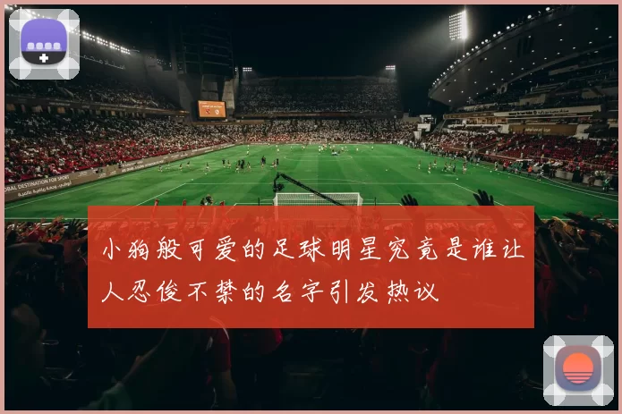 小狗般可爱的足球明星究竟是谁让人忍俊不禁的名字引发热议