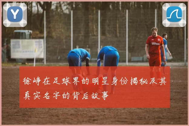 徐峥在足球界的明星身份揭秘及其真实名字的背后故事